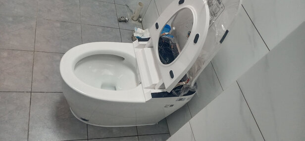 德国博致智能马桶一体机|「用后真实感受」德国博致智能马桶一体机质量怎么样?用后一周讲体验真相?