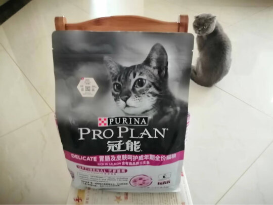 猫干粮