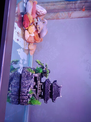 鱼缸装饰假山