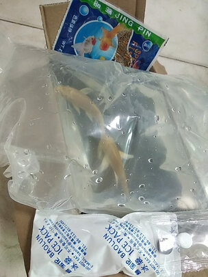 鱼缸净水剂