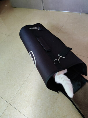猫包