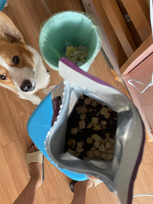 狗粮