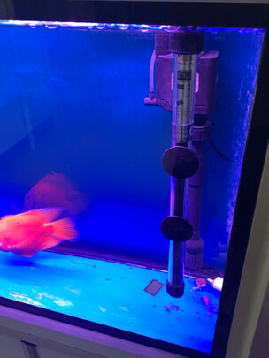 鱼缸加热棒