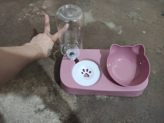 猫碗狗碗