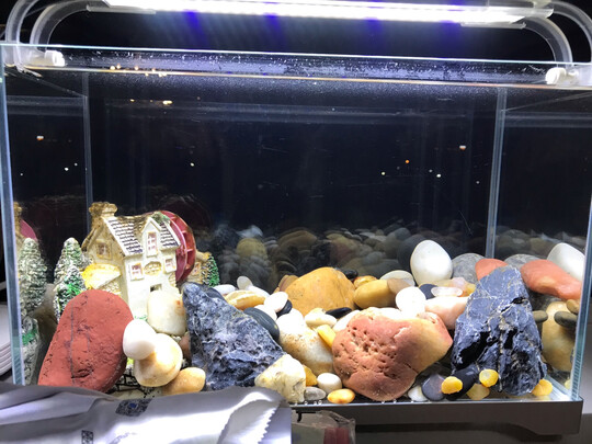 水草泥