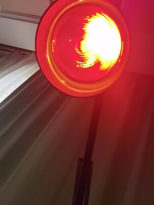 红外线灯泡