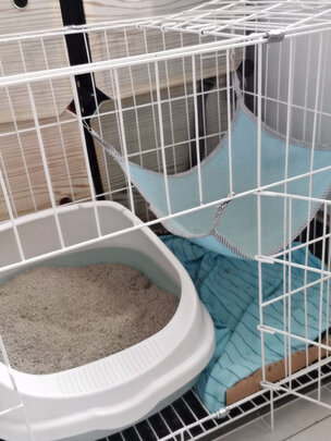 猫笼