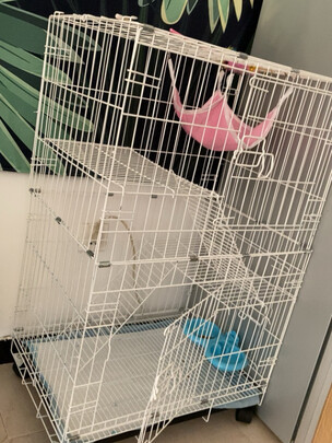  猫笼