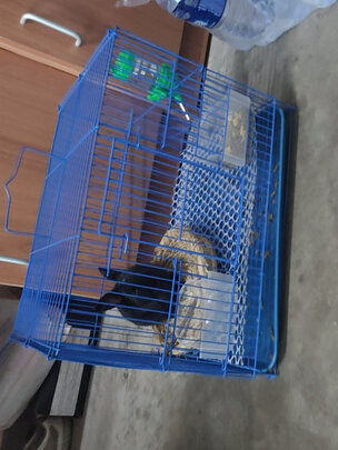 兔笼子