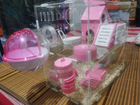 仓鼠水壶