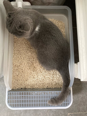 猫砂铲