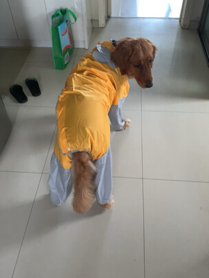 狗狗雨衣