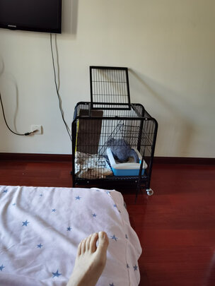 豆腐猫砂