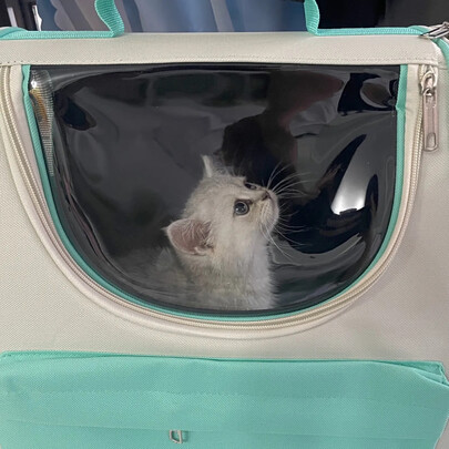 猫包