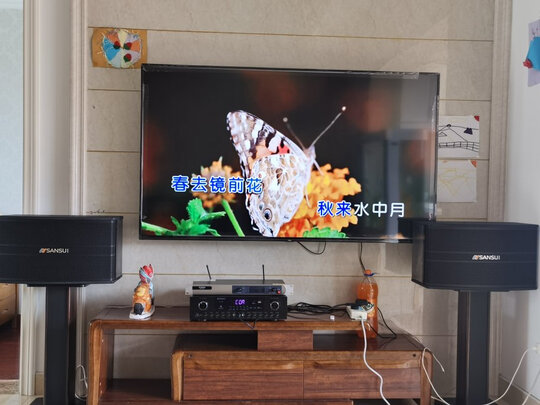 山水SP9-10|山水sp9家庭KTV音响套装怎么样？使用三天彻底后悔了？