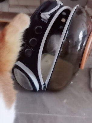 猫包
