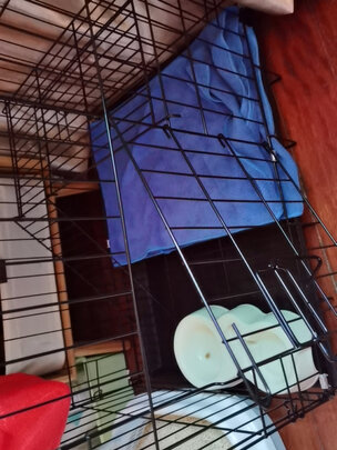  猫笼