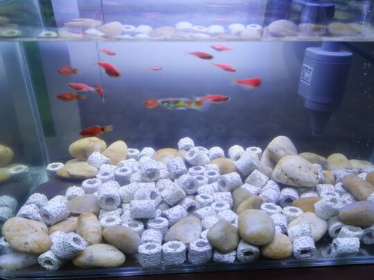 鱼缸灯led灯