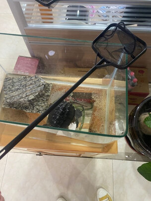鱼缸鱼捞捞鱼网