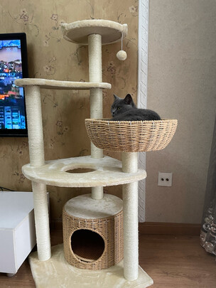 猫爬架