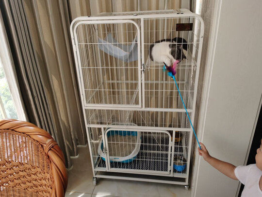  猫笼
