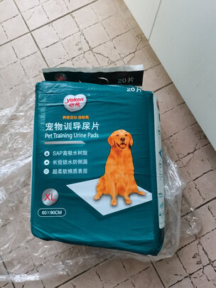宠物纸尿裤