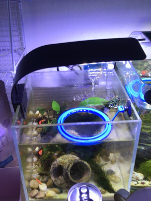 鱼缸水草灯