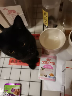 猫粮罐头