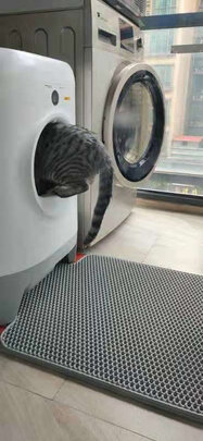 猫砂铲