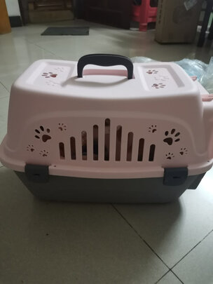 猫包