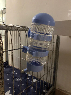 宠物水壶