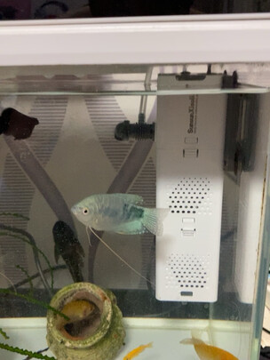 鱼缸过滤器