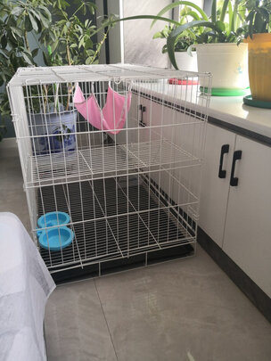  猫笼