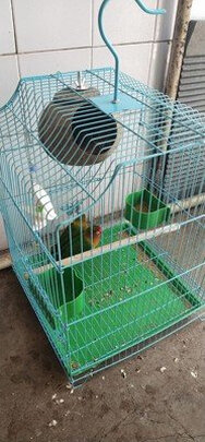 鸟笼