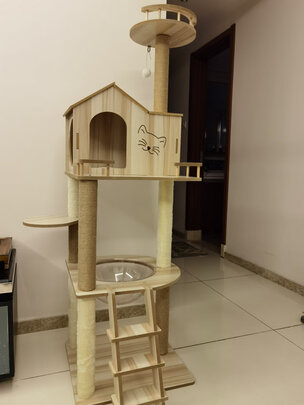 猫爬架