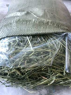 兔粮提摩西草