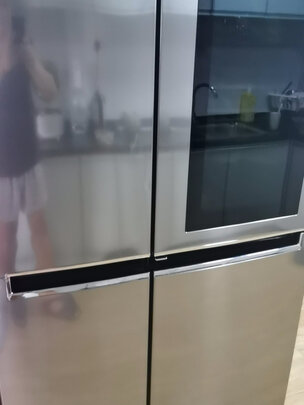 LGS640S76B|LGS640S76B冰箱怎么样?刚上手就后悔了是吗？