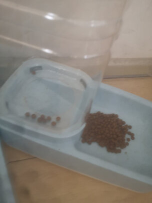 宠物自动喂食器