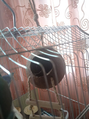 鸟笼