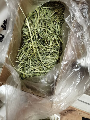 兔粮提摩西草