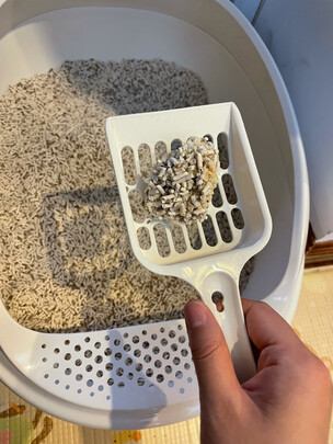 豆腐猫砂