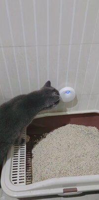 宠物除臭剂