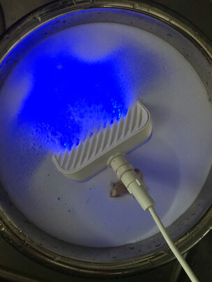 果蔬净化清洗机