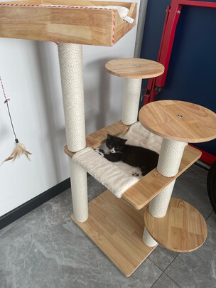 猫爬架