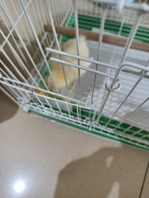 鸟笼