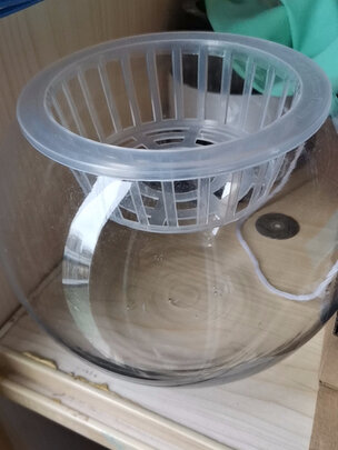 桌面鱼缸