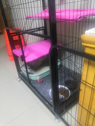  猫笼
