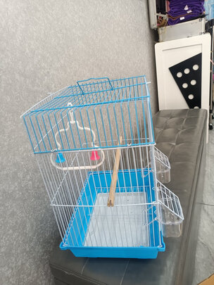 鸟笼
