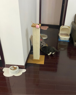 猫爬架