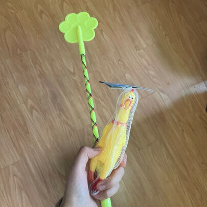 狗狗玩具